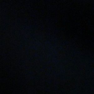 Meet your Posher, Kyleigh